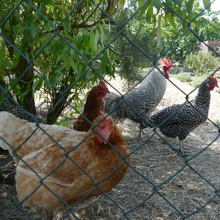 Mit Terrasse - 10 Minuten Von Templin Milmersdorf