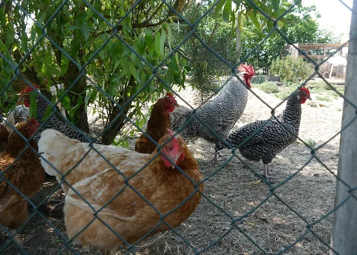 Mit Terrasse - 10 Minuten Von Templin Milmersdorf