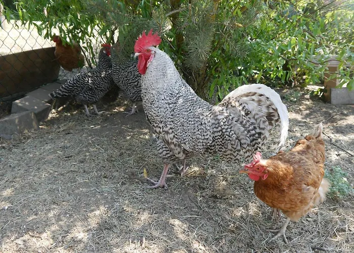 Feriehus Mit Terrasse - 10 Minuten Von Templin *